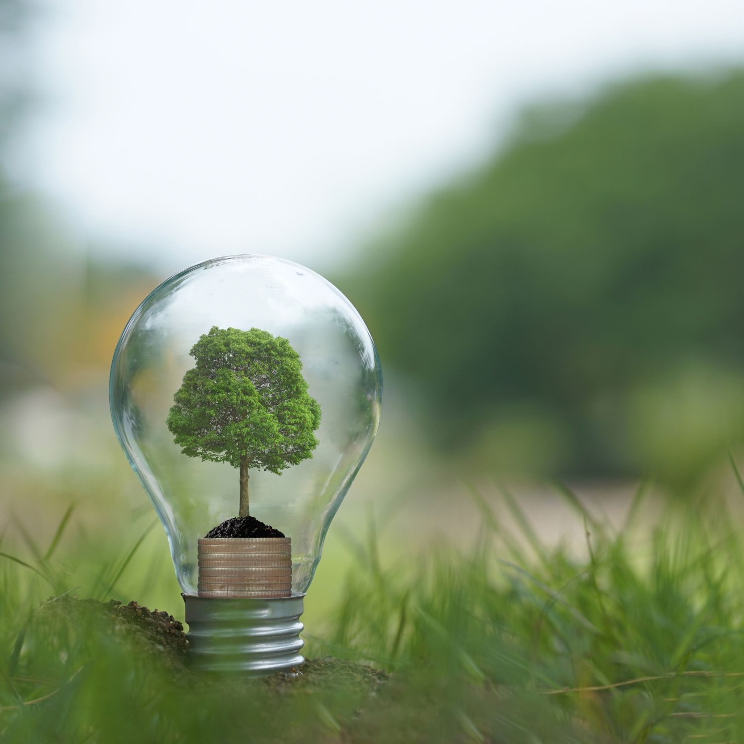 Studio Industria Servizi - 3